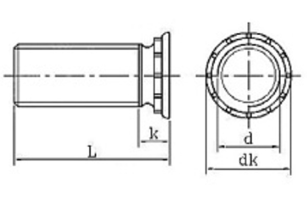 Винт запрессовываемый-xq1